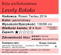 Lovely Rokoko.png