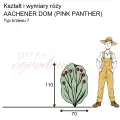 wymiary_AACHENER DOM (PINK PANTHER).png