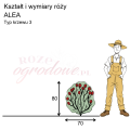 wymiary_ALEA (1).png