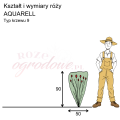 wymiary_AQUARELL (1).png