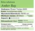 Amber Bay.png