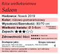 Saloon.png