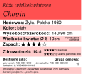 Chopin tabelka.png
