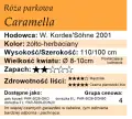 Caramella.png