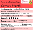 Carmen Wurth tabelka.png