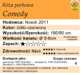 Comedy tabelka.png