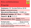 Feurio tabelka.png