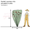 Kolner Flora.png