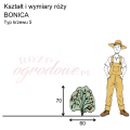 wymiary_BONICA (2).png