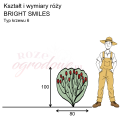 wymiary_BRIGHT SMILES (1).png