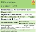 Lemon Fizz tabelka.png