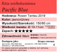 Pacific Blue tabelka.png