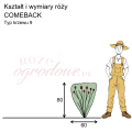 wymiary_COMEBACK (1).png