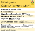 schone dortmunderin tabelka.png
