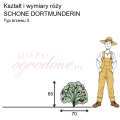 schone dortmunderin.png