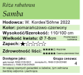 Samba.png