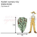 wymiary_EDEN ROSE (1).png