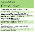Creme Brulee.png