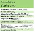 Gotha 1250.png