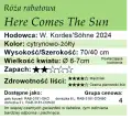 Here Comes The Sun.png