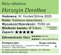 Herzogin Dorothea.png