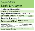 Little Drummer.png