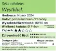 Westblick.png