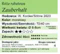 ZauberHalt.png