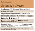 Zelmanis dream.png