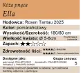 ella.png