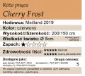 Cherry Frost.png