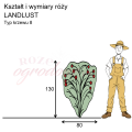 wymiary_LANDLUST (1).png