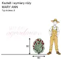 wymiary_MARY ANN (1).png