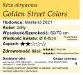 Golden Street Colors.png