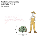 wymiary_ORIENTA SHILA (1).png