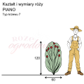 wymiary_PIANO (1).png
