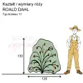 wymiary_ROALD DAHL.png