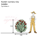 wymiary_SAMBA (1).png