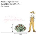 wymiary_SANGERHAUSER J.R. (1).png