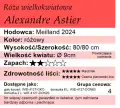 Alexandre Astier.png