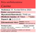 Casino.png