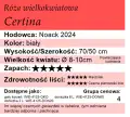 Certina.png