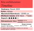 Timeline.png