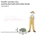 wymiary_kształt_róży_KASTELRUTHER SPATZEN ROSE.png