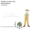 wymiary_kształt_róży_INNOCENCIA.png