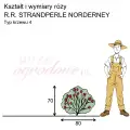 wymiary_kształt_róży_R.R. STRANDPERLE NORDERNEY.png