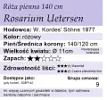 140ue.png