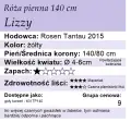 lizzy 140.png