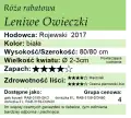 Leniwe Owieczki.png
