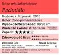 Pachnidło.png